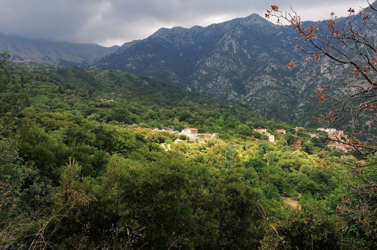 Arxontiko Taygeti Hotel Mystras Ngoại thất bức ảnh